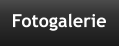 Fotogalerie