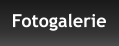 Fotogalerie